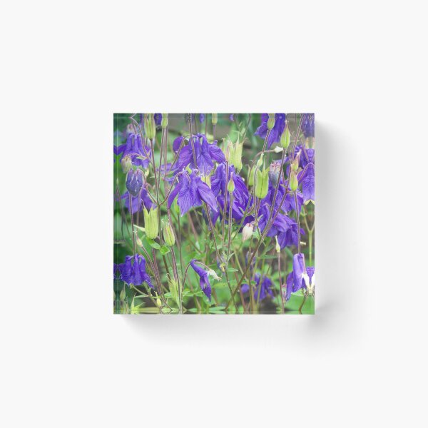 Item preview, Columbine in deep blue designed and sold by Boscastle.