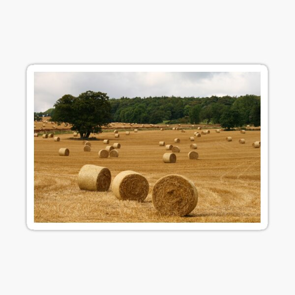 Making Hay Sticker