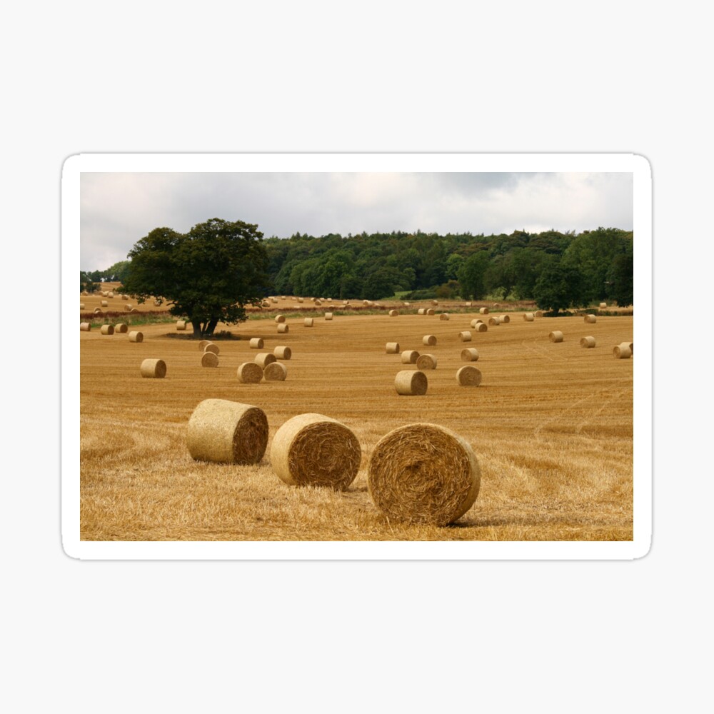 Making Hay Sticker