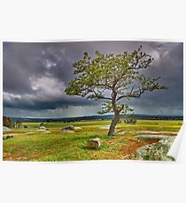 "Storms In The South" Poster
