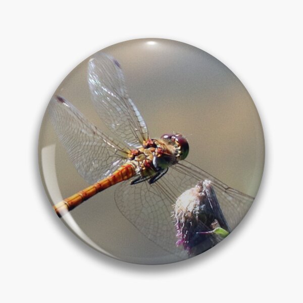 Item preview, dragonfly in flight designed and sold by tammy mellor.