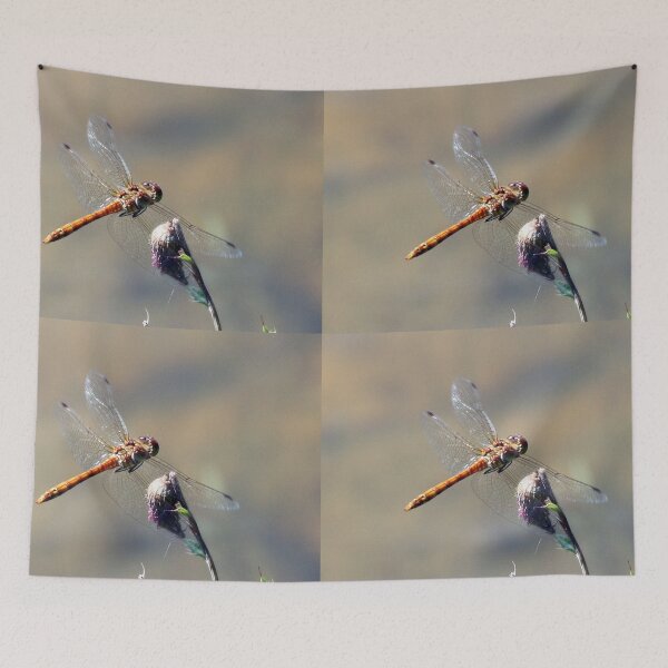 Item preview, dragonfly in flight designed and sold by tammy mellor.