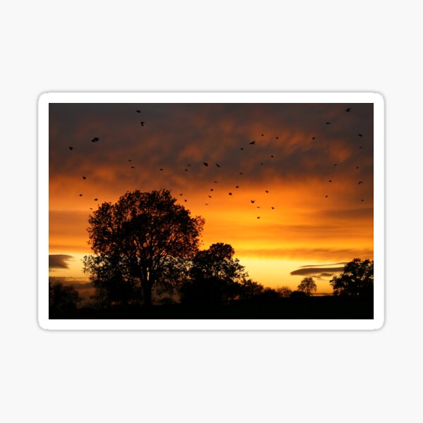 Sundown Sticker