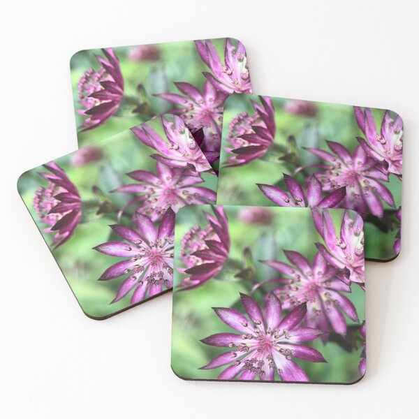 Item preview, Astrantia designed and sold by Barbitastic.
