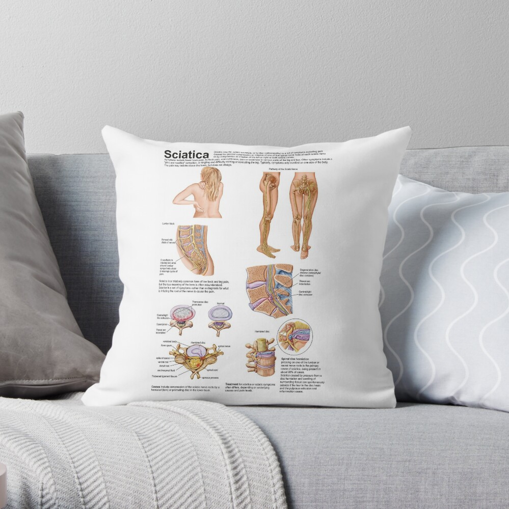 https://ih1.redbubble.net/image.1287931914.9720/throwpillow,small,1000x-bg,f8f8f8-c,0,200,1000,1000.jpg