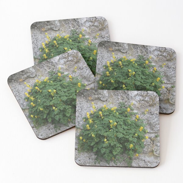 Item preview, Spontaneous yellow rockery wildflowers and their foliage designed and sold by EstelleRossetti.