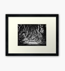 The Dark Hedges Framed Print