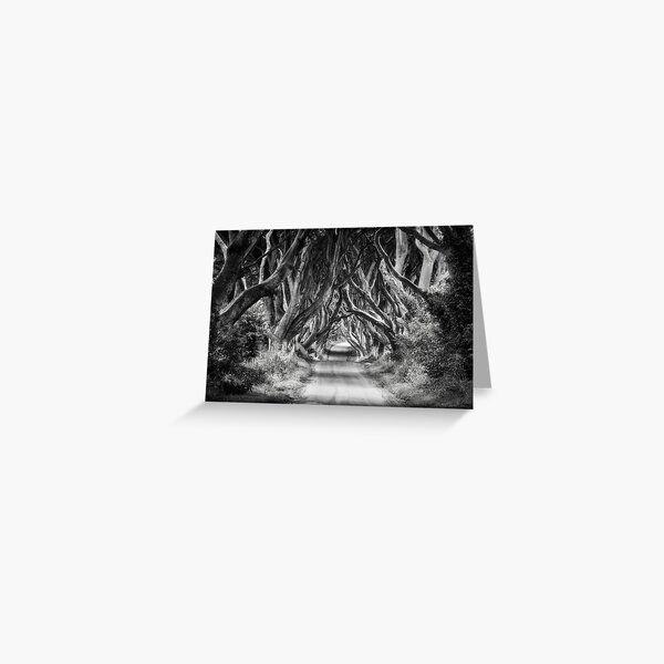 The Dark Hedges Greeting Card