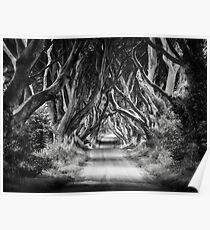 The Dark Hedges Poster