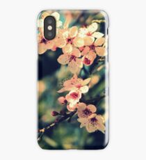 September Afternoon iPhone Case/Skin