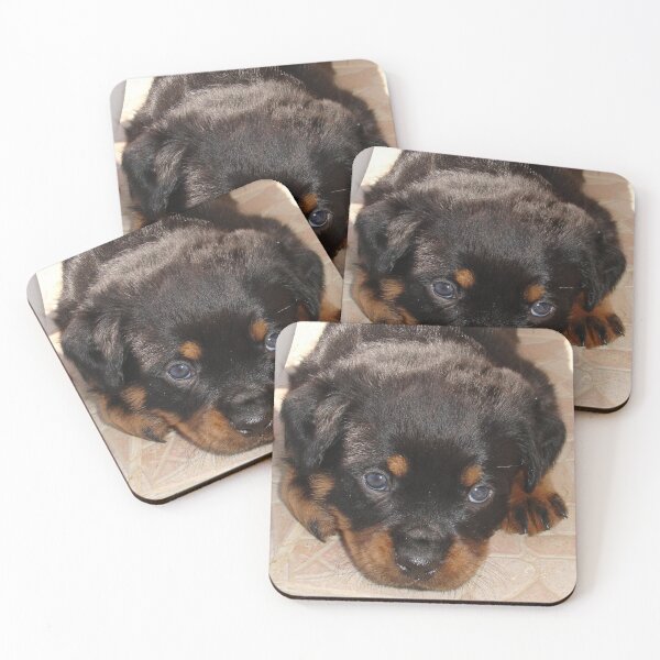 Item preview, Cute Rottweiler Puppy With Head On Paws designed and sold by taiche.