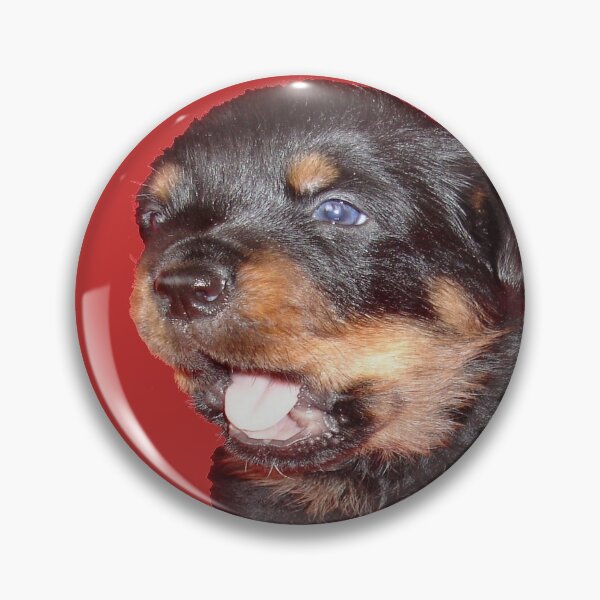 Item preview, Adorable Rottweiler Puppy with Jaw Dropping Expression designed and sold by taiche.