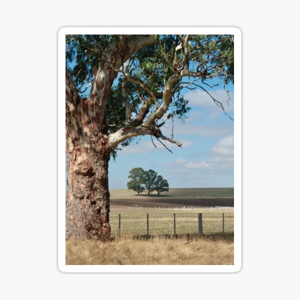 Item preview, Gum elder shelters young ones. Macedon, Victoria designed and sold by Susan Henry.
