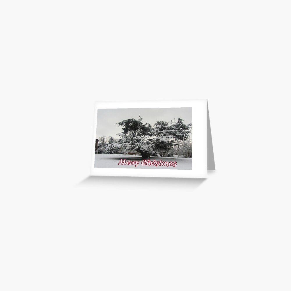 Merry Christmas - Tree Greeting Card
