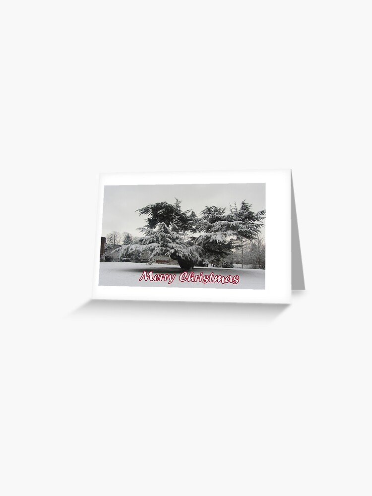 Thumbnail 1 of 2, Greeting Card, Merry Christmas - Tree designed and sold by hartrockets.