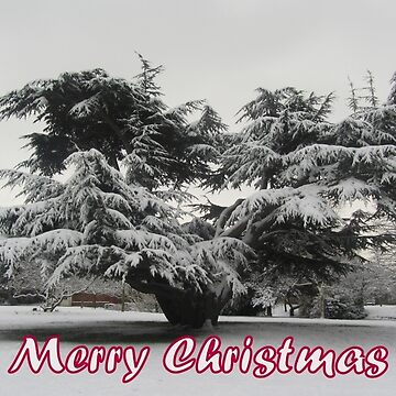 Artwork thumbnail, Merry Christmas - Tree by Pete’s Digital Canvas