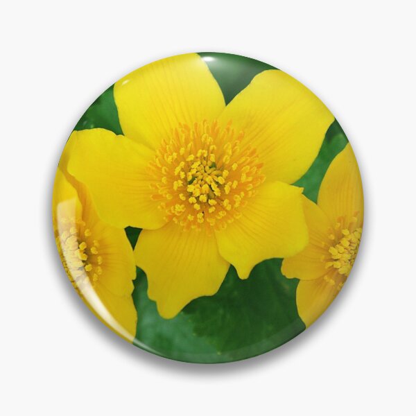 Item preview, Marsh Marigold Caltha Palustris designed and sold by rvjames.