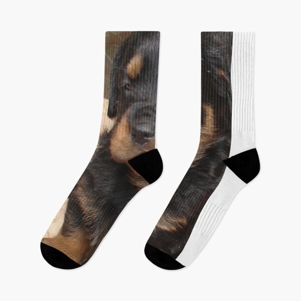 Item preview, Cute Fluffy Female Rottweiler Pup Falling Asleep designed and sold by taiche.