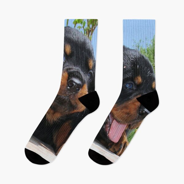 Item preview, Two Rottweiler Puppies, High Five designed and sold by taiche.