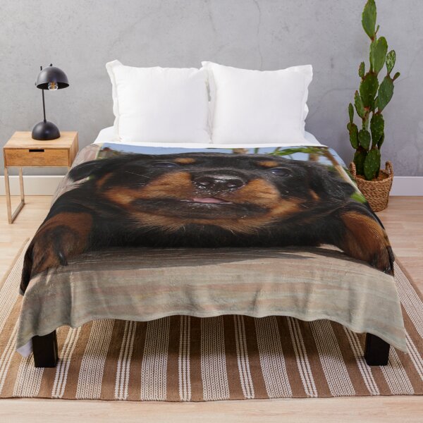 Item preview, Rottweiler Puppy Giving Eye Contact designed and sold by taiche.