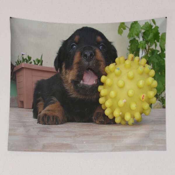 Item preview, Tiny Rottweiler Puppy Playing With Large Toy Ball designed and sold by taiche.