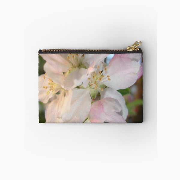 Artikelvorschau,  Art Malus domestica in der Rosenfamilie Rosaceae. Es ist eine der am häufigsten angebauten Baumfrüchte. Der Baum ist klein und laubabwerfend entworfen und verkauft von taiche.