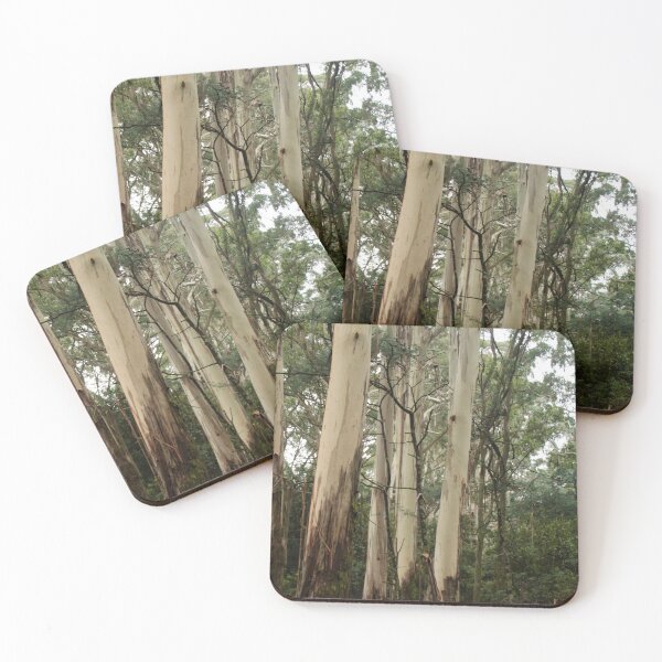 Item preview, Mountain Ash Eucalypts on Mt Macedon, Victoria designed and sold by Susan Henry.
