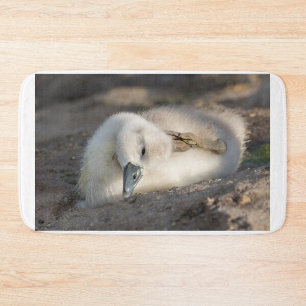 Item preview, Mute Swan Cygnet designed and sold by LaurenTucker.
