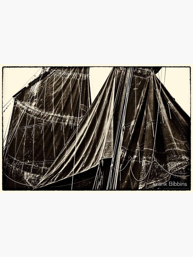 Sails, The Belle Angel 2012 by organicman2