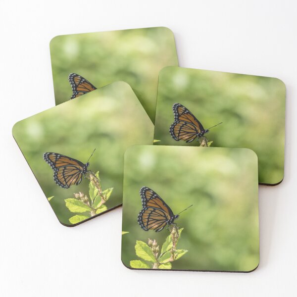 Item preview, Viceroy Butterfly side profile against green background designed and sold by Rabbitti.