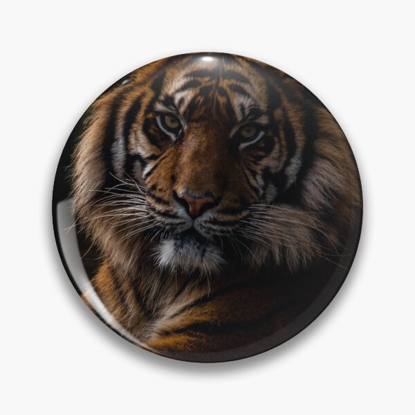 Item preview, Sumatran Tiger  designed and sold by chloerhianphoto.