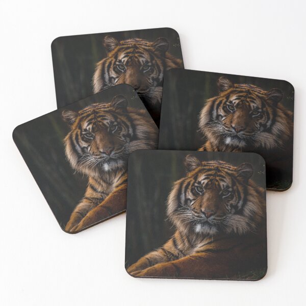 Item preview, Sumatran Tiger  designed and sold by chloerhianphoto.