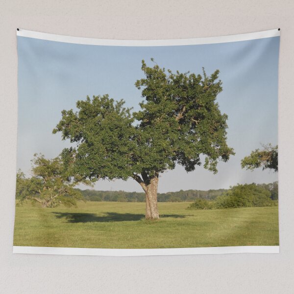 Item preview, Old pear tree designed and sold by EstelleRossetti.