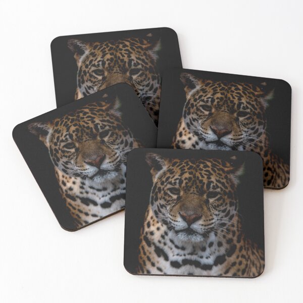 Item preview, Jaguar Photo designed and sold by chloerhianphoto.