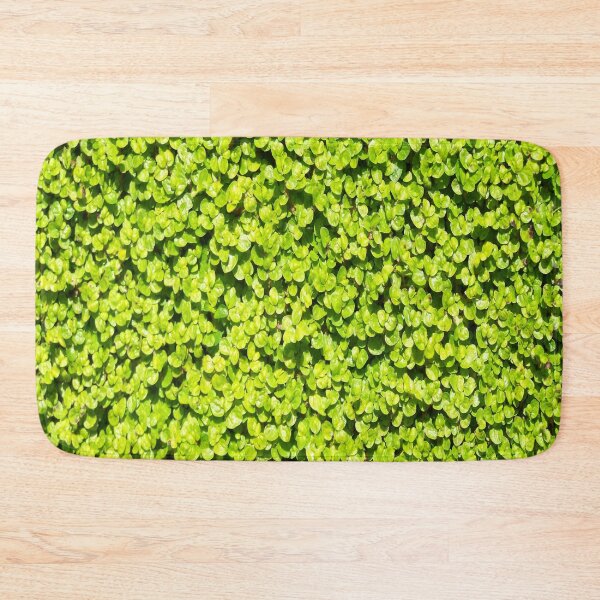 Item preview, It is so green designed and sold by Boscastle.