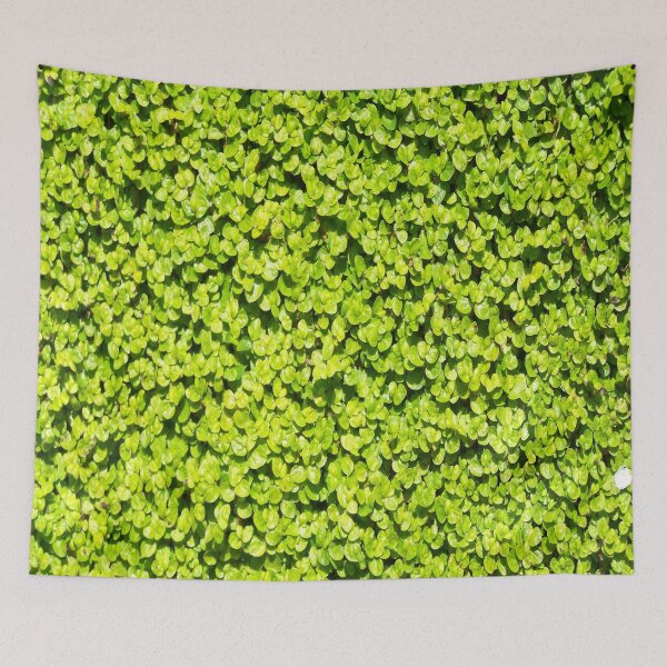 Item preview, It is so green designed and sold by Boscastle.