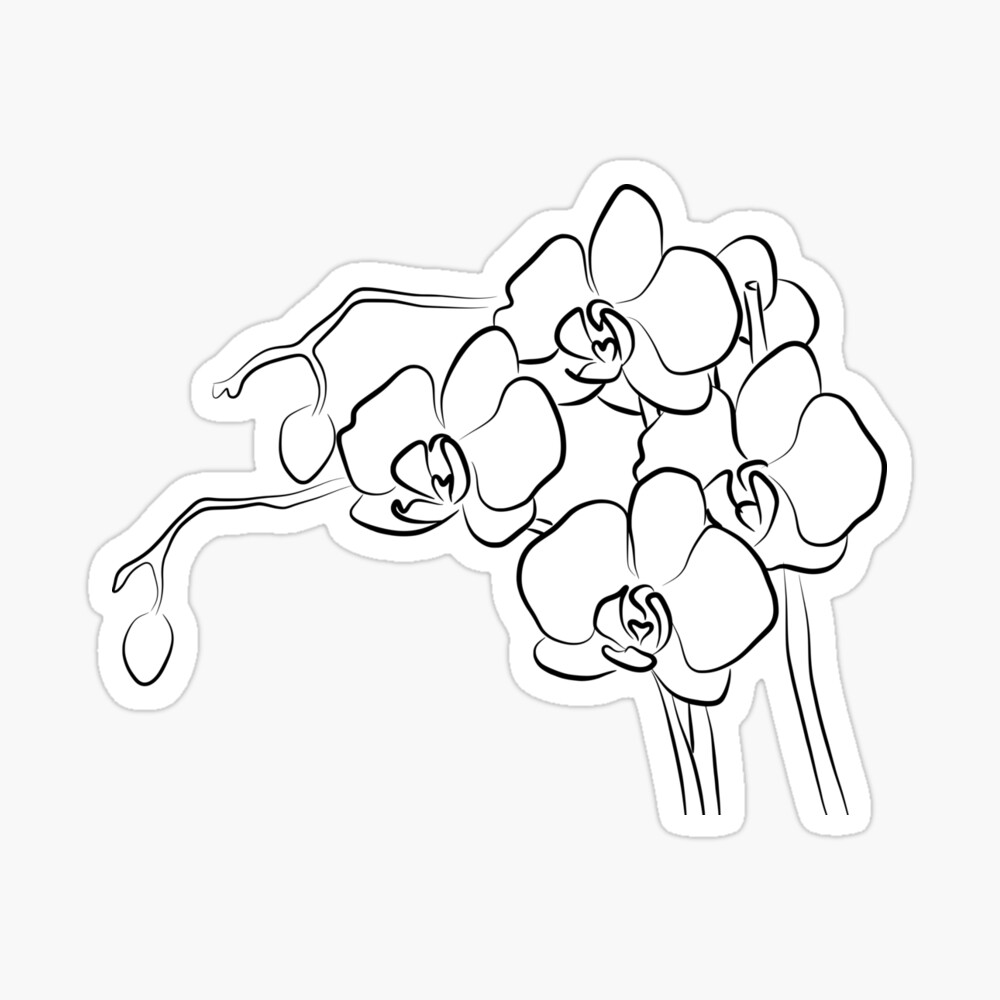 Orchids abstract line art design t-shirt