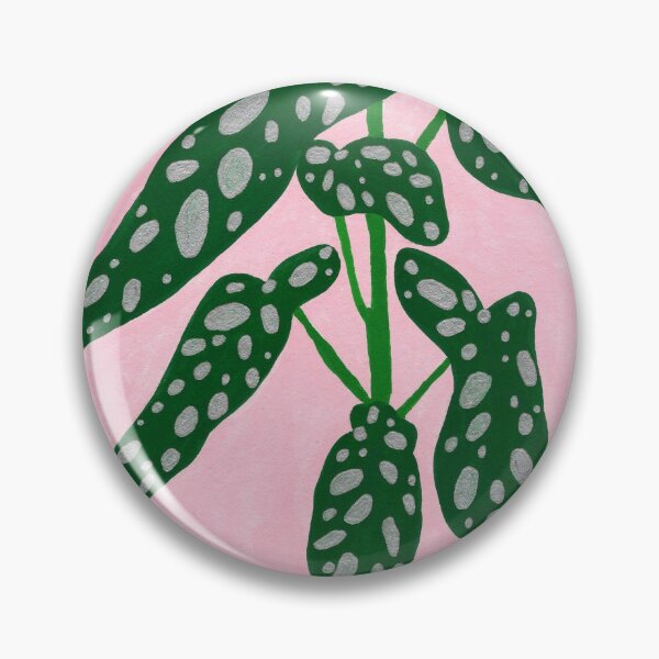 Item preview, Begonia maculata designed and sold by Aidi Riera.