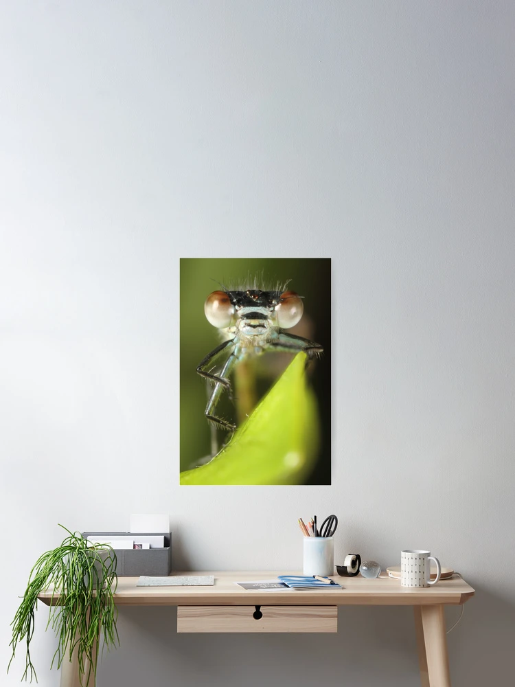 Thumbnail 2 of 3, Poster, Dragonfly designed and sold by Bill Rockenbeck.
