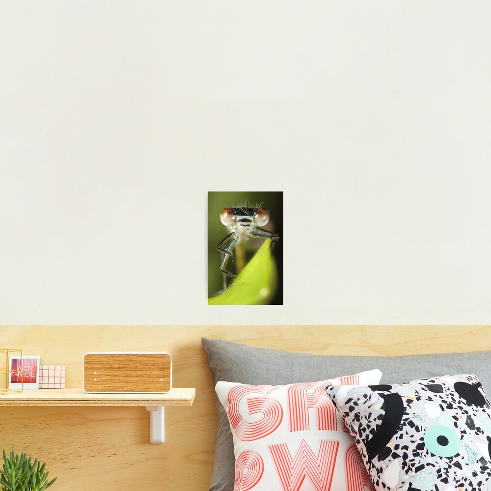 Vista previa del artículo con la obra «Lámina fotográfica», diseñado y vendido por RockingLaurie.