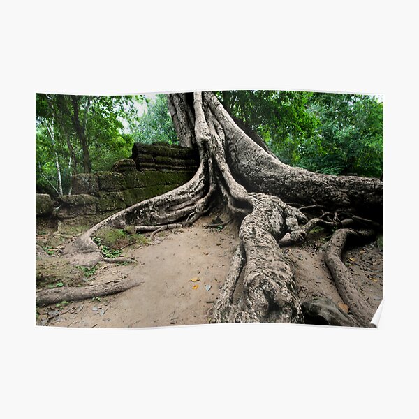 The Roots of Ta Prohm, Cambodia Poster