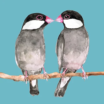 Artwork thumbnail, Two kissing Java sparrows by Bwiselizzy