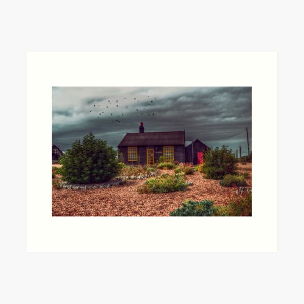 Prospect Cottage Art Print
