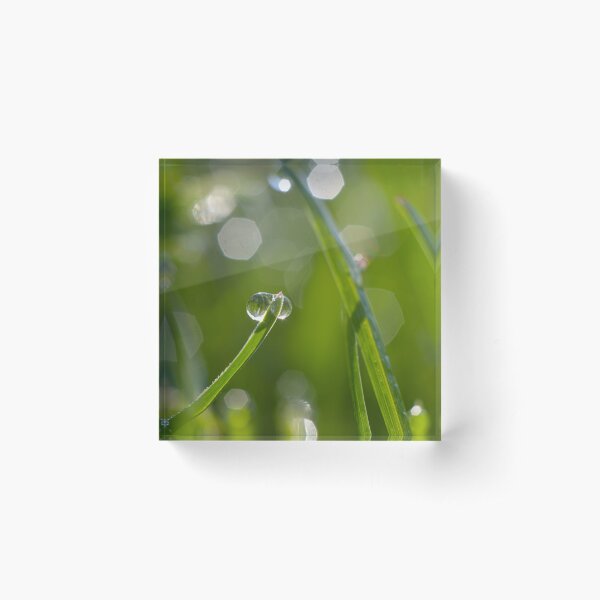 Item preview, Early Dew designed and sold by inlightimagery.
