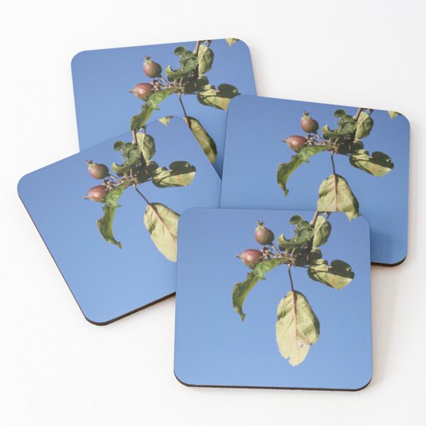 Item preview, Young apple fruit on a branch designed and sold by EstelleRossetti.