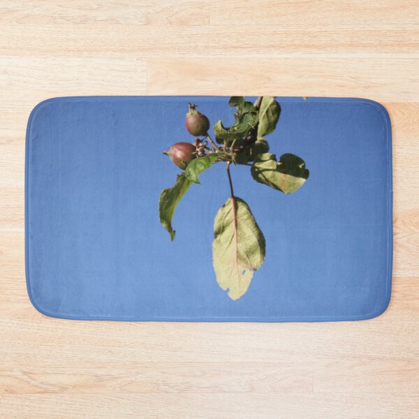 Item preview, Young apple fruit on a branch designed and sold by EstelleRossetti.