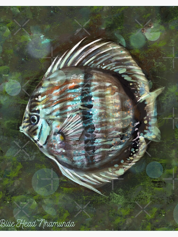 Heckel Discus Blue Face Head Nhamunda Cichlid Aquarium Fish Merch Art  Board Print for Sale by TheAplus