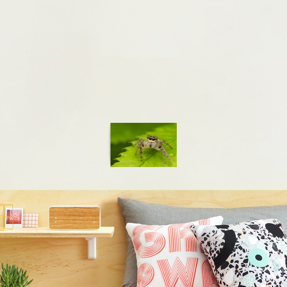 Item preview, Photographic Print designed and sold by RockingLaurie.