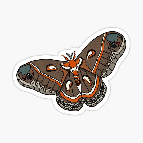 Cecropia Moth Sticker
