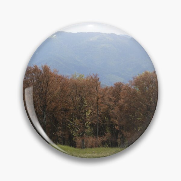 Item preview, Vosges beech forest burned by freezing designed and sold by EstelleRossetti.